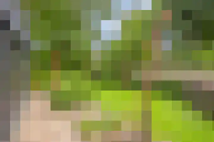 Hurk 209 Uden thumbnail 52