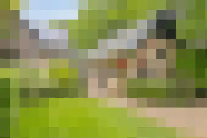 Hurk 209 Uden thumbnail 57