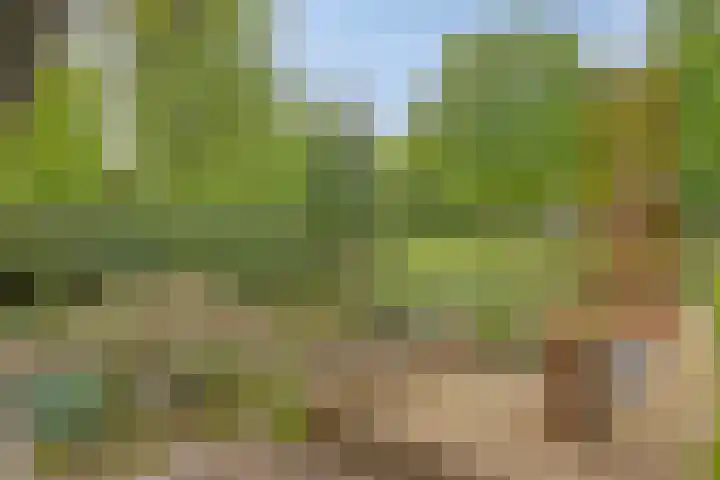 Hurk 209 Uden thumbnail 6