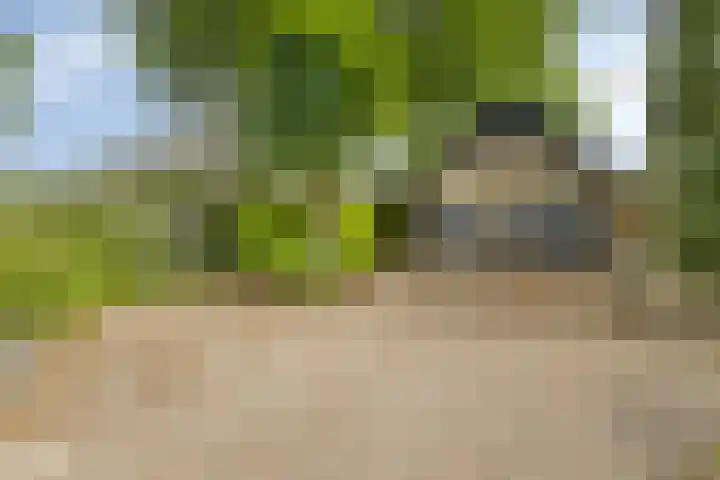 Hurk 209 Uden thumbnail 60