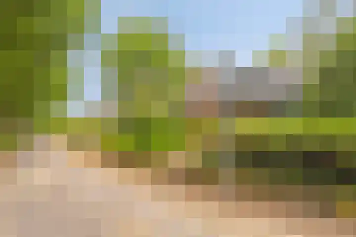 Hurk 209 Uden thumbnail 61