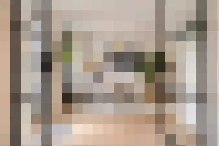 Hurk 9 Gemert thumbnail 13