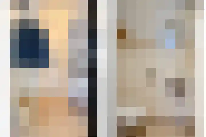 Hurk 9 Gemert thumbnail 14