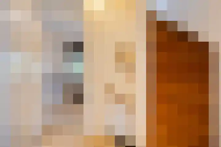 Hurk 9 Gemert thumbnail 15