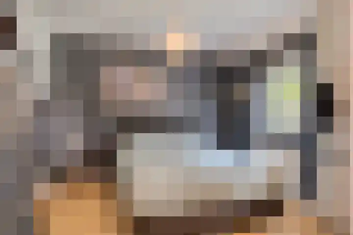 Hurk 9 Gemert thumbnail 16