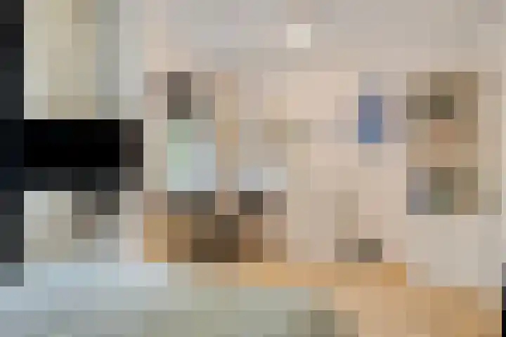Hurk 9 Gemert thumbnail 17