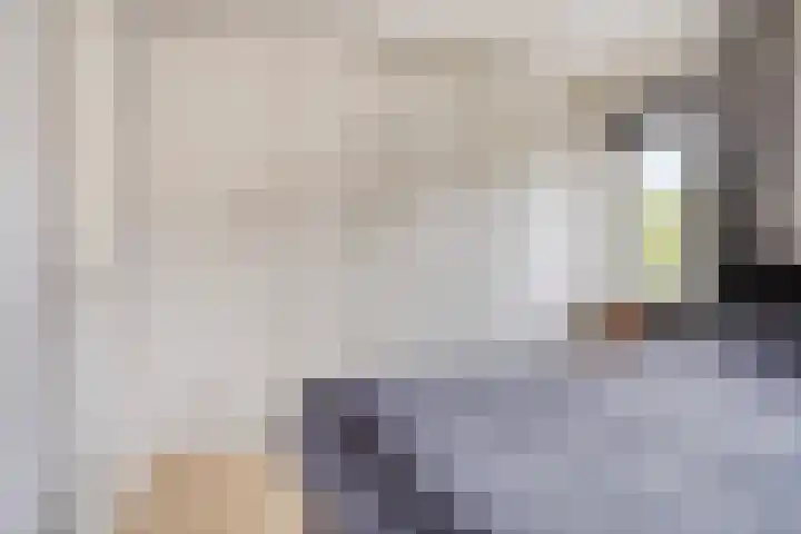 Hurk 9 Gemert thumbnail 20