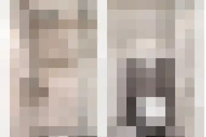 Hurk 9 Gemert thumbnail 22