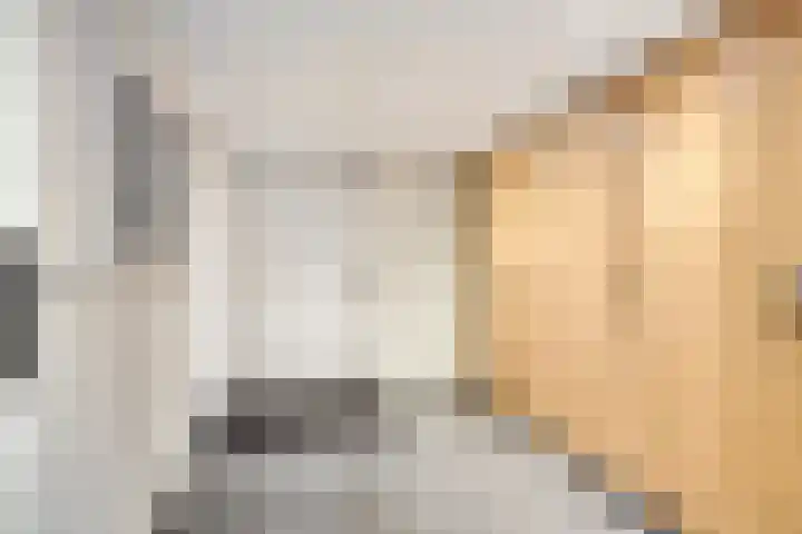 Hurk 9 Gemert thumbnail 25