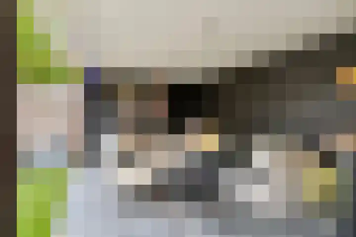 Hurk 9 Gemert thumbnail 29