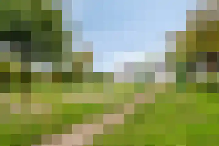 Hurk 9 Gemert thumbnail 33