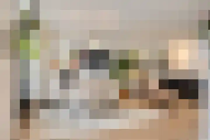 Hurk 9 Gemert thumbnail 8