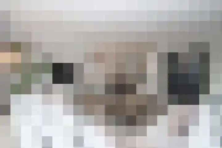 Hüsenhoff 84 Groesbeek thumbnail 16
