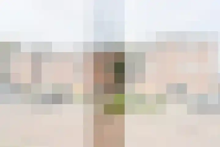Hüsenhoff 84 Groesbeek thumbnail 7