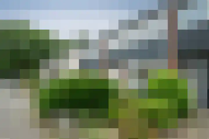 Husingecamp 4 Emmen foto 3