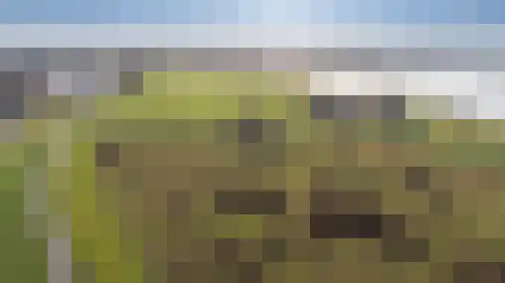 Husselarijstraat 34 Loo Gld thumbnail 5