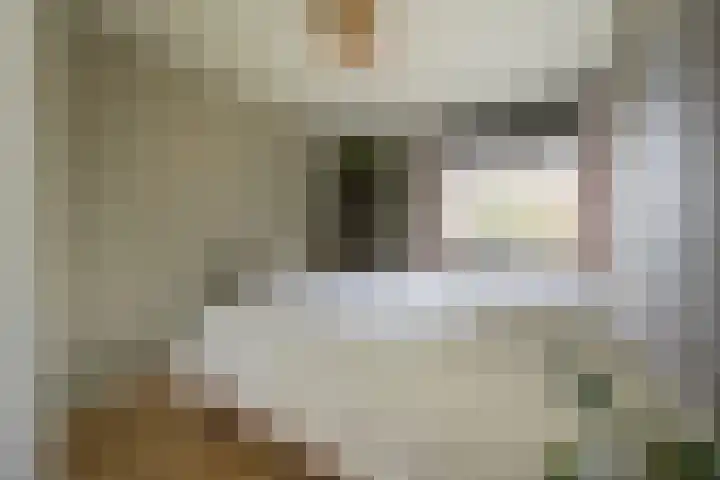 Husselmansgoed 66 Nijkerk thumbnail 13