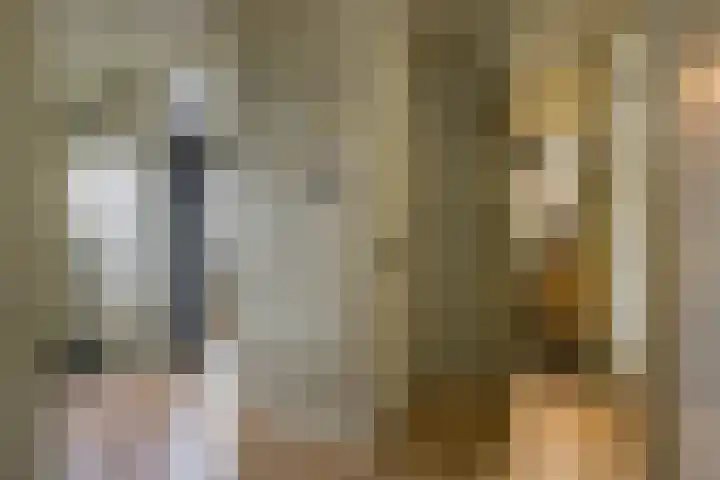 Husselmansgoed 66 Nijkerk thumbnail 19