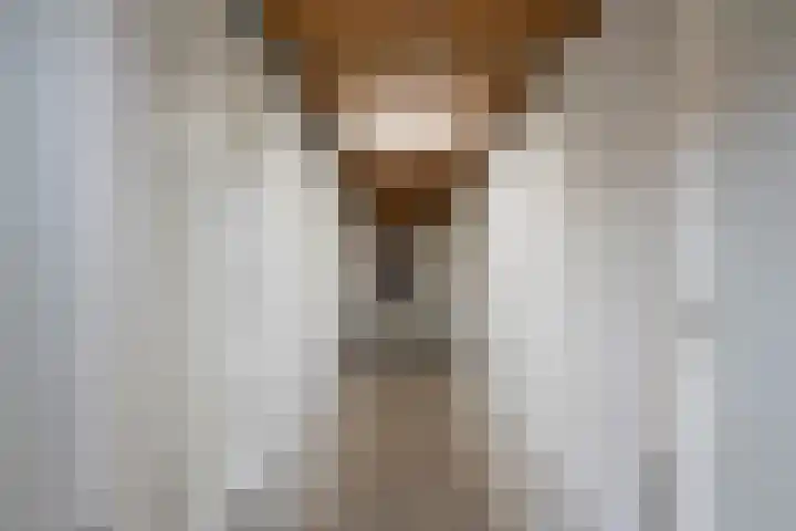 Husselmansgoed 66 Nijkerk thumbnail 29