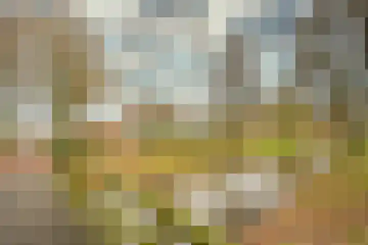 Husselmansgoed 66 Nijkerk thumbnail 30