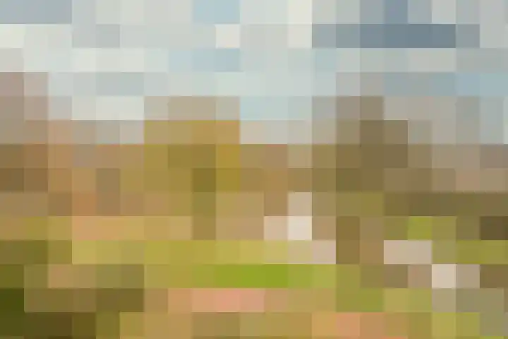 Husselmansgoed 66 Nijkerk thumbnail 31
