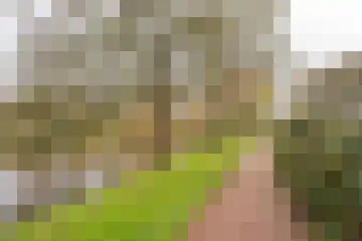 Husselmansgoed 66 Nijkerk thumbnail 32