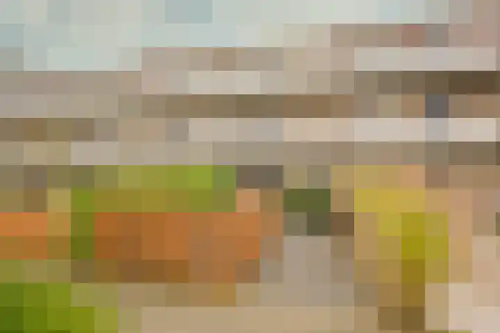 Husselmansgoed 66 Nijkerk thumbnail 36