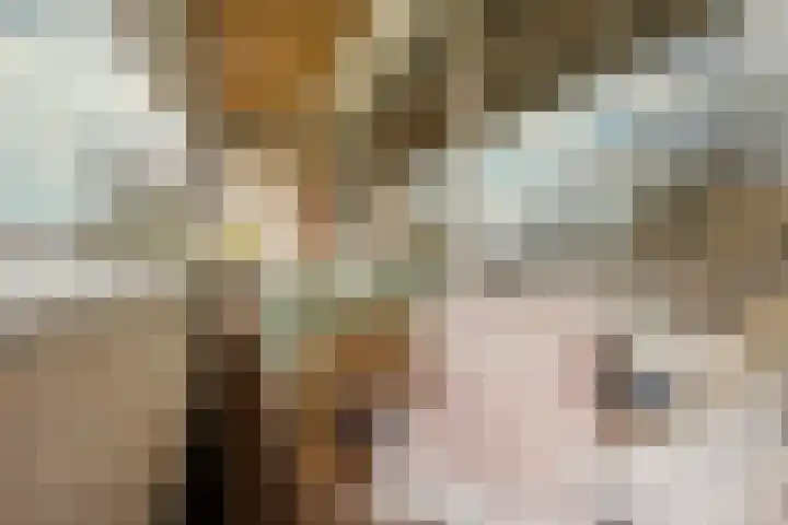 Husselmansgoed 66 Nijkerk thumbnail 5