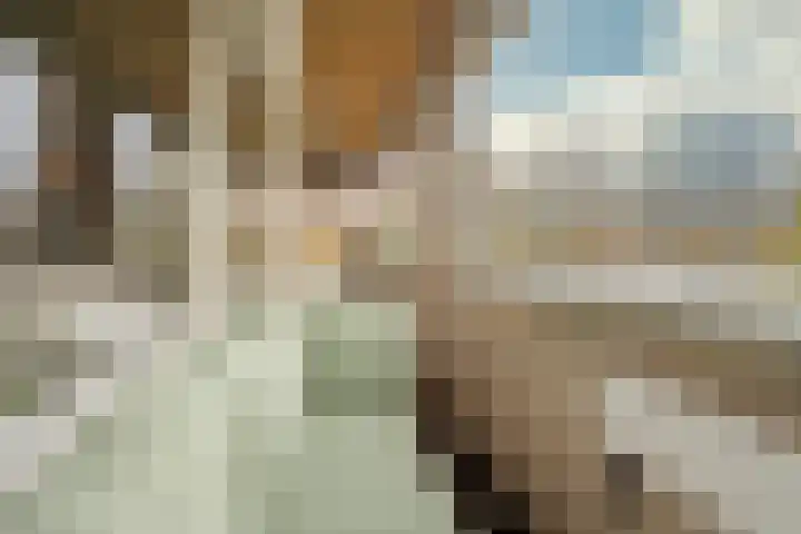 Husselmansgoed 66 Nijkerk thumbnail 6