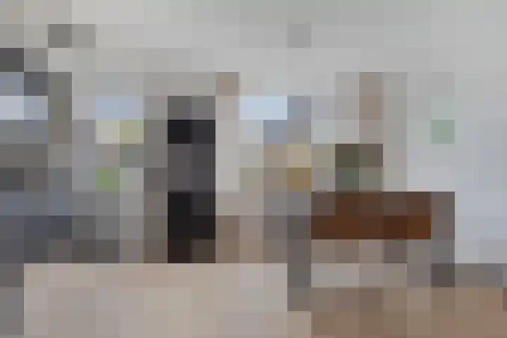 Huysacker 2 Oisterwijk thumbnail 10