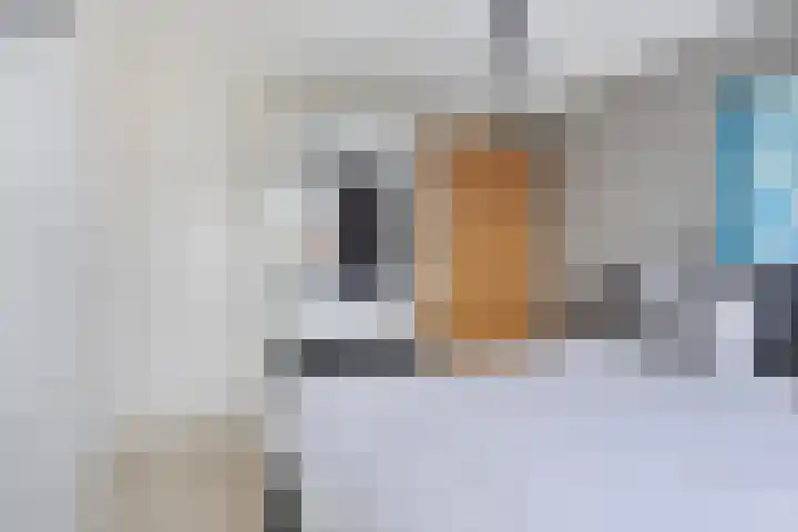 Huysacker 2 Oisterwijk thumbnail 18