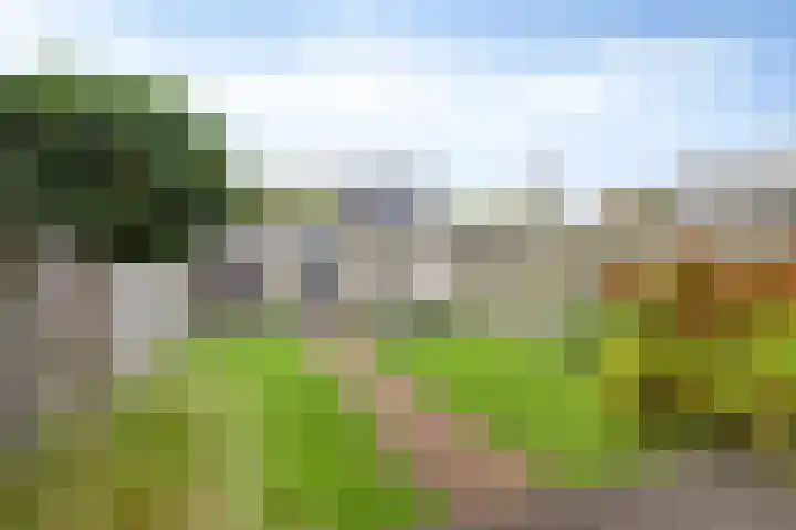 Huysacker 2 Oisterwijk thumbnail 29