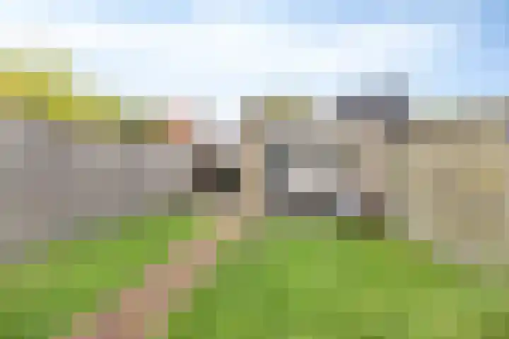 Huysacker 2 Oisterwijk thumbnail 31