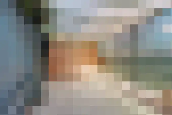 Hyacintenstraat 32 Echt thumbnail 27