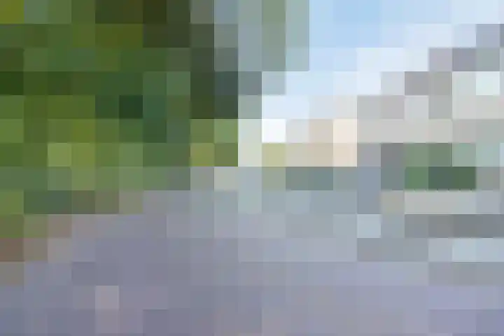 Hyacintenstraat 32 Echt thumbnail 34