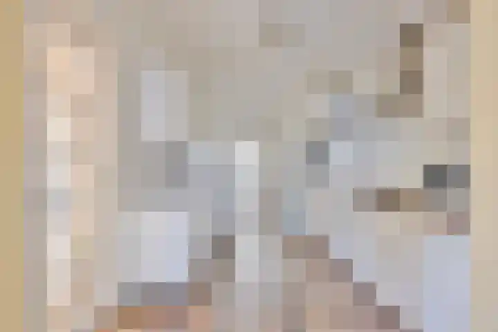 Hyacintenstraat 32 Echt thumbnail 4