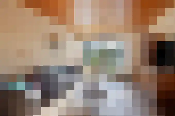 Hyacintenstraat 32 Echt thumbnail 9