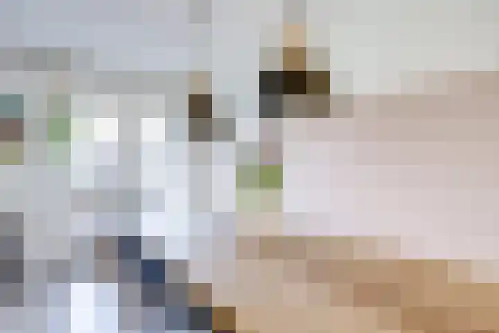Hyacintentuin 10 Houten thumbnail 10
