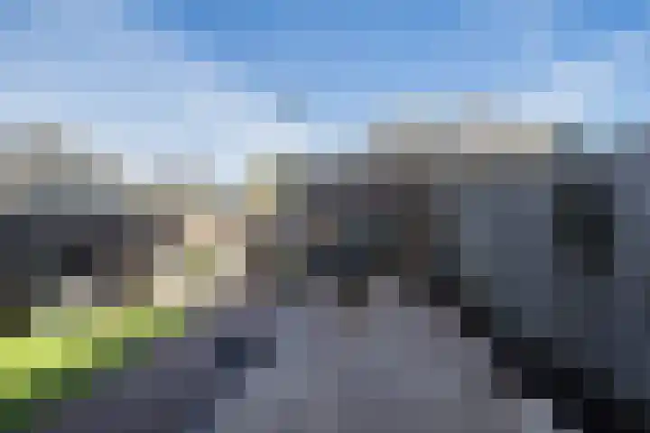 Hyacintentuin 10 Houten thumbnail 18