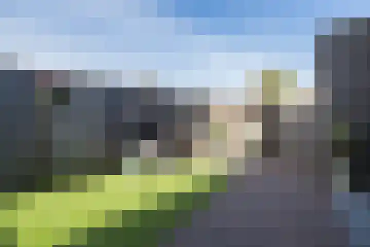 Hyacintentuin 10 Houten thumbnail 21