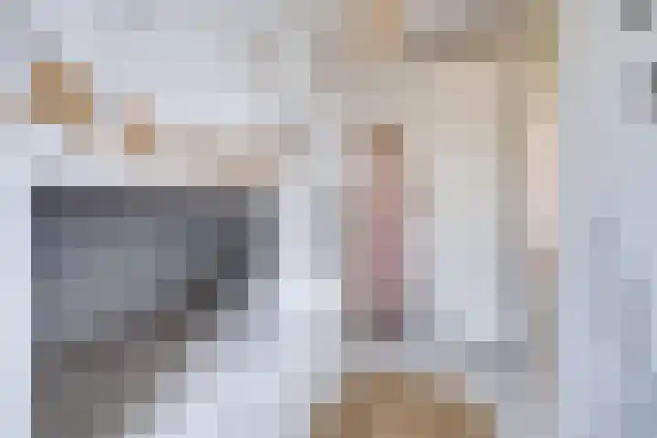 Hyacintentuin 10 Houten thumbnail 35