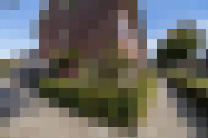 Hyacintentuin 10 Houten thumbnail 56