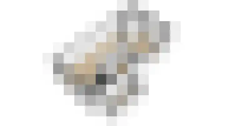 Hyacintentuin 10 Houten thumbnail 69