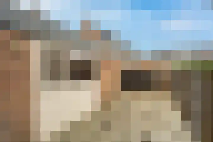 Hyacinterf 1 's-Gravendeel thumbnail 21