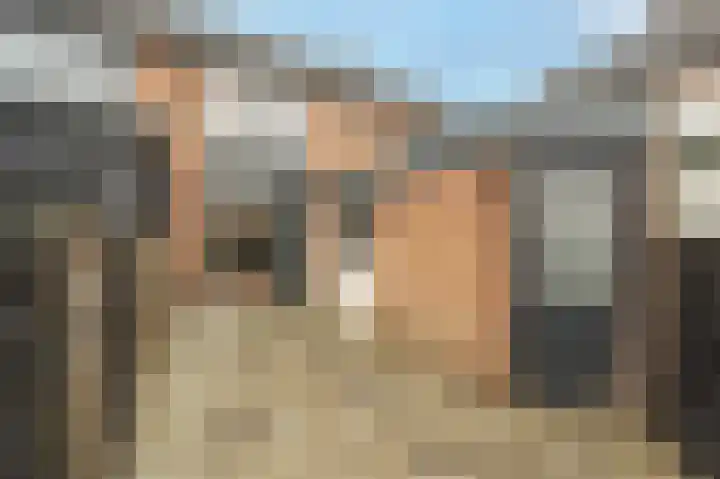 Hyacinterf 1 's-Gravendeel thumbnail 22