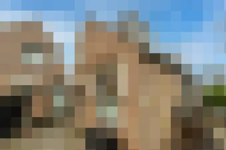 Hyacinterf 1 's-Gravendeel thumbnail 23