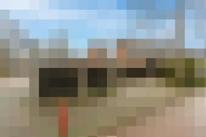 Hyacinterf 1 's-Gravendeel thumbnail 24