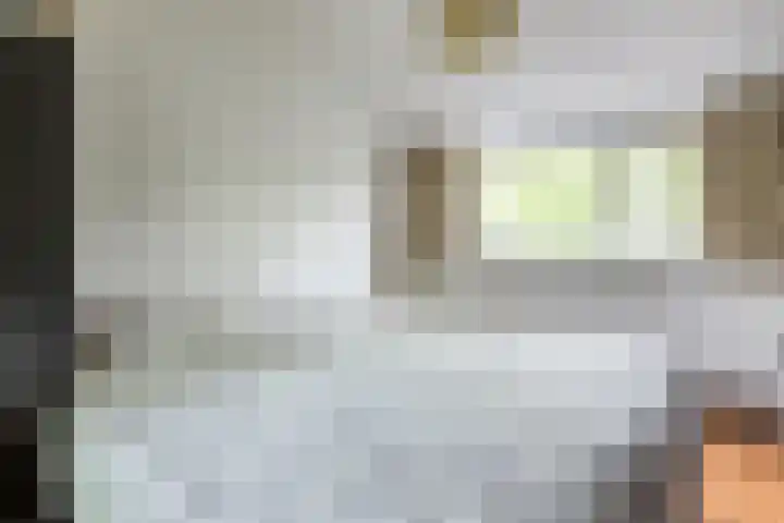 Hyacinth 126 Vinkel thumbnail 13