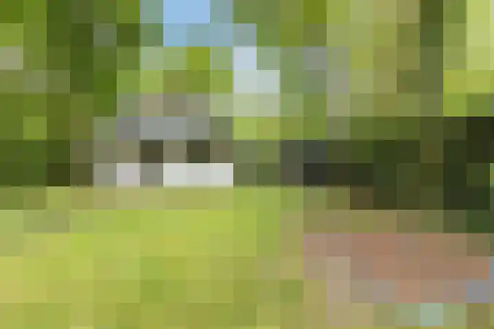 Hyacinth 126 Vinkel thumbnail 22