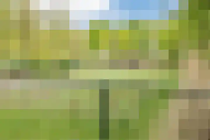 Hyacinth 126 Vinkel thumbnail 29